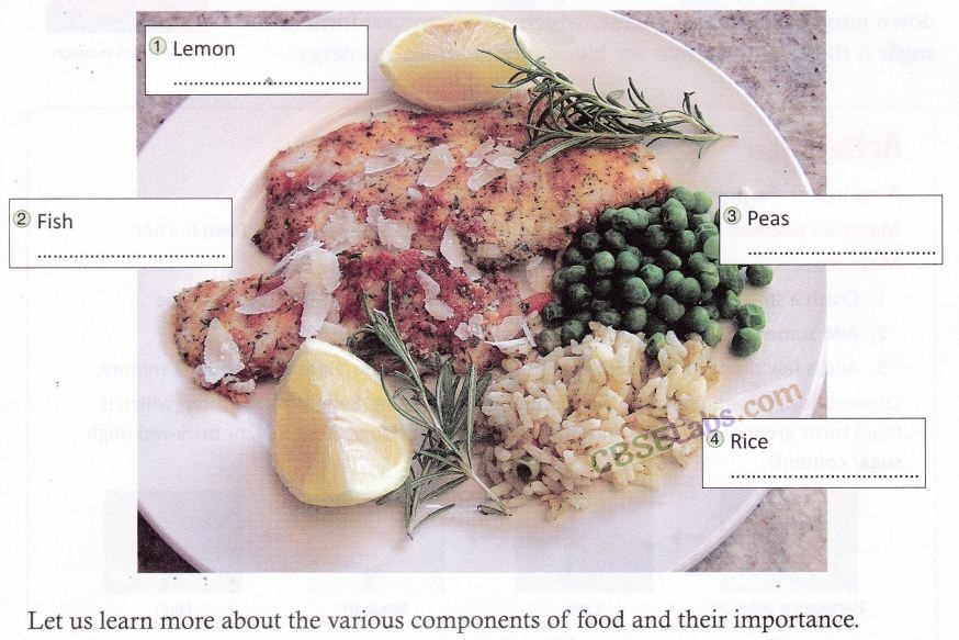 Components of Food Class 6 Notes Science Chapter 2 img-7
