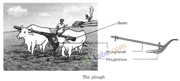 Crop Production and Management Class 8 Notes Science Chapter 1 img-1