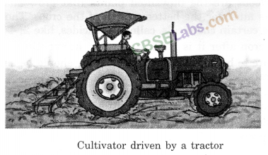 Crop Production and Management Class 8 Notes Science Chapter 1 img-3