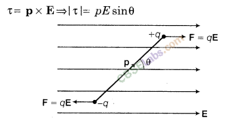 Electric Charges and Fields Class 12 Notes Chapter 1 img-14