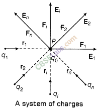 Electric Charges and Fields Class 12 Notes Chapter 1 img-9