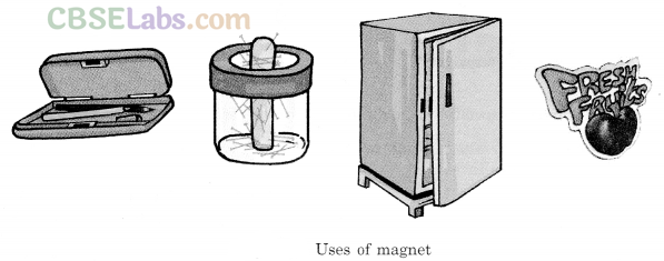 Fun with Magnets Class 6 Notes Science Chapter 13 img-1