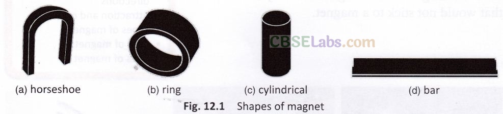 Fun with Magnets Class 6 Notes Science Chapter 13 img-10