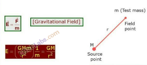 Gravitation Class 11 Notes Physics Chapter 8 img-9