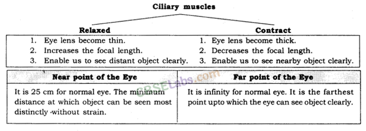Human Eye and Colourful World Class 10 Notes Science Chapter 11 img-2