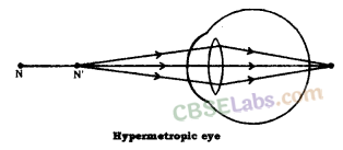 Human Eye and Colourful World Class 10 Notes Science Chapter 11 img-5