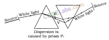 Human Eye and Colourful World Class 10 Notes Science Chapter 11 img-9