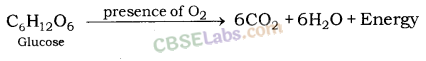 Life Processes Class 10 Notes Science Chapter 6 img-12