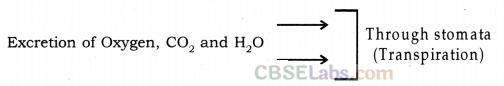 Life Processes Class 10 Notes Science Chapter 6 img-25