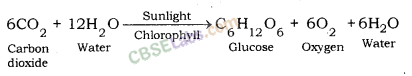 Life Processes Class 10 Notes Science Chapter 6 img-3