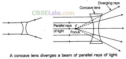 Light Class 7 Notes Science Chapter 15 img-5