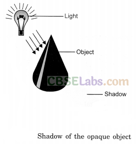 Light, Shadows and Reflection Class 6 Notes Science Chapter 11 img-1