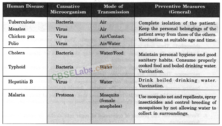 Microorganisms: Friend and Foe Class 8 Notes Science Chapter 2 - Learn CBSE