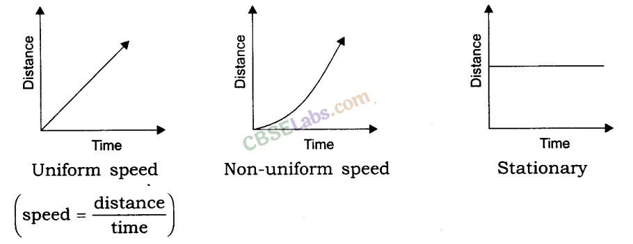 Motion Class 9 Notes Science Chapter 8 img-4