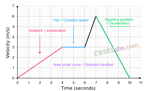 Motion Class 9 Notes Science Chapter 8 img-5