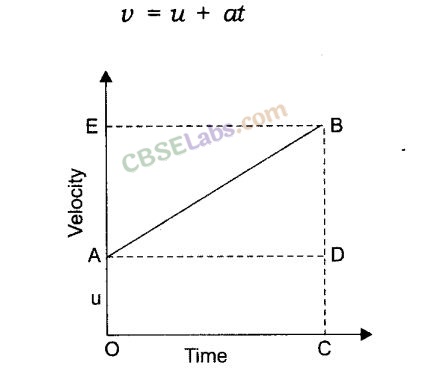 Motion Class 9 Notes Science Chapter 8 img-6