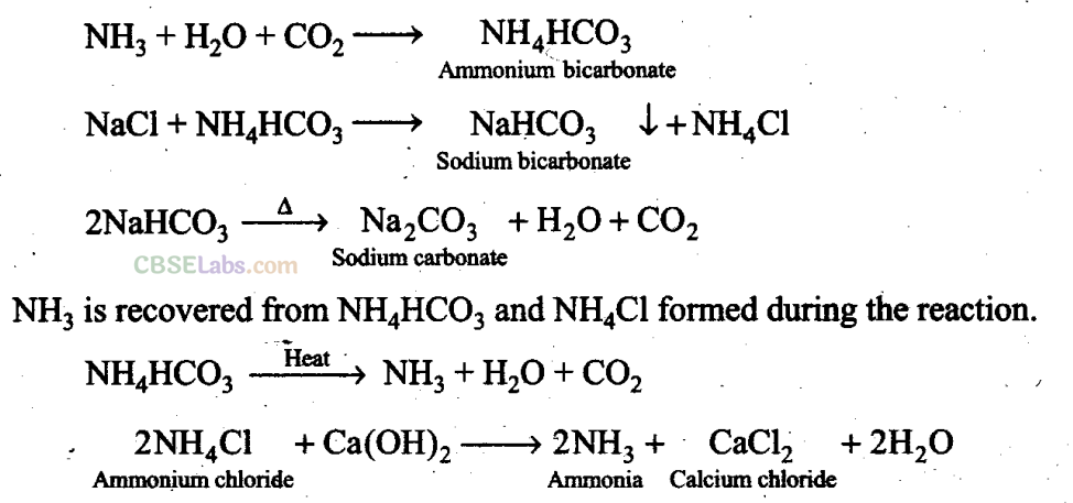 NCERT Exemplar Class 11 Chemistry Chapter 10 The S-Block Elements Img 1
