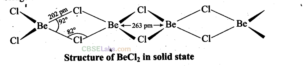 NCERT Exemplar Class 11 Chemistry Chapter 10 The S-Block Elements Img 12