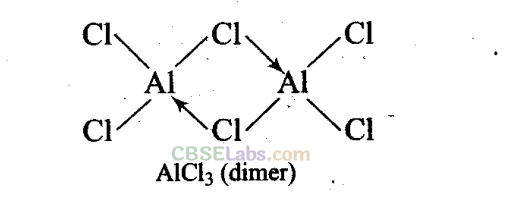 NCERT Exemplar Class 11 Chemistry Chapter 11 The p-Block Elements Img 11