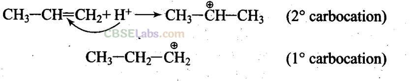 NCERT Exemplar Class 11 Chemistry Chapter 12 Organic Chemistry Some Basic Principles and Techniques Img 14