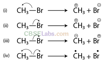 NCERT Exemplar Class 11 Chemistry Chapter 12 Organic Chemistry Some Basic Principles and Techniques Img 15