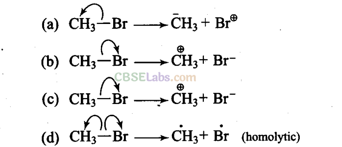 NCERT Exemplar Class 11 Chemistry Chapter 12 Organic Chemistry Some Basic Principles and Techniques Img 16