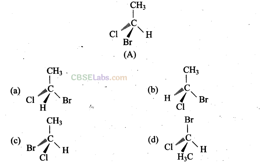 NCERT Exemplar Class 11 Chemistry Chapter 12 Organic Chemistry Some Basic Principles and Techniques Img 21
