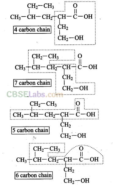NCERT Exemplar Class 11 Chemistry Chapter 12 Organic Chemistry Some Basic Principles and Techniques Img 32