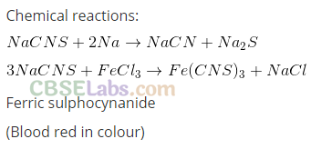 NCERT Exemplar Class 11 Chemistry Chapter 12 Organic Chemistry Some Basic Principles and Techniques Img 37