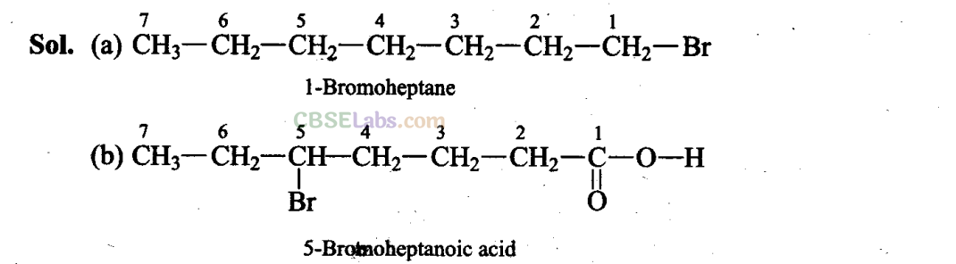 NCERT Exemplar Class 11 Chemistry Chapter 12 Organic Chemistry Some Basic Principles and Techniques Img 39