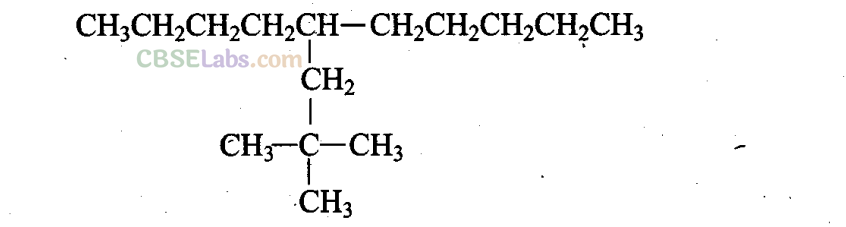 NCERT Exemplar Class 11 Chemistry Chapter 13 Hydrocarbons Img 20