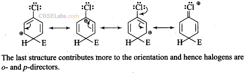 NCERT Exemplar Class 11 Chemistry Chapter 13 Hydrocarbons Img 22