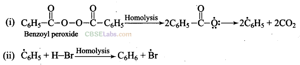 NCERT Exemplar Class 11 Chemistry Chapter 13 Hydrocarbons Img 44