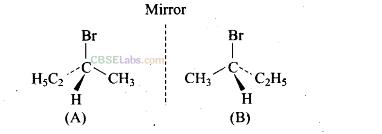 NCERT Exemplar Class 11 Chemistry Chapter 13 Hydrocarbons Img 6