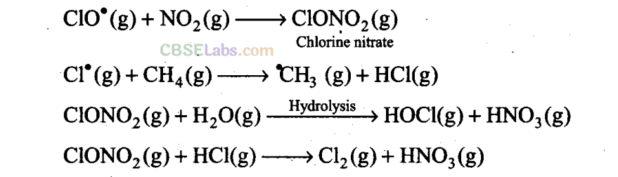 NCERT Exemplar Class 11 Chemistry Chapter 14 Environmental Chemistry Img 11