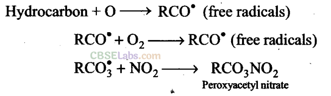NCERT Exemplar Class 11 Chemistry Chapter 14 Environmental Chemistry Img 2
