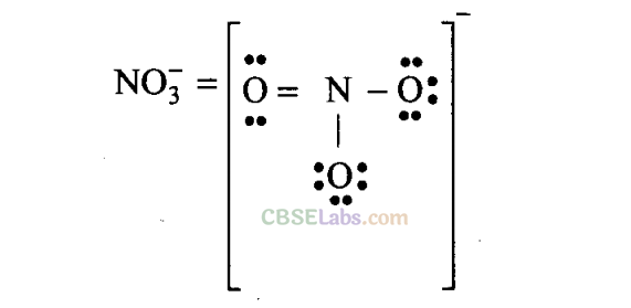 NCERT Exemplar Class 11 Chemistry Chapter 4 Chemical Bonding and Molecular Structure Img 5