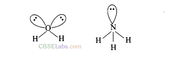 NCERT Exemplar Class 11 Chemistry Chapter 4 Chemical Bonding and Molecular Structure Img 55