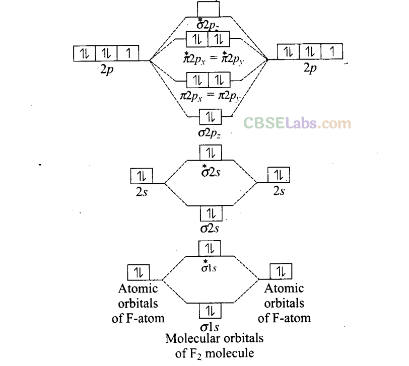 NCERT Exemplar Class 11 Chemistry Chapter 4 Chemical Bonding and Molecular Structure Img 59
