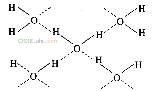 NCERT Exemplar Class 11 Chemistry Chapter 4 Chemical Bonding and Molecular Structure Img 9