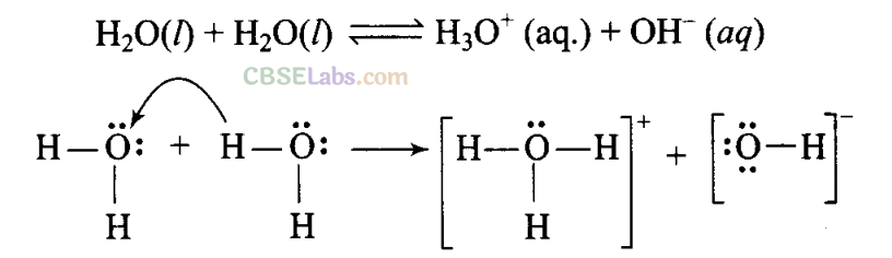 NCERT Exemplar Class 11 Chemistry Chapter 9 Hydrogen Img 16