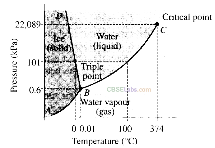 NCERT Exemplar Class 11 Physics Chapter 10 Thermal Properties of Matter Img 21