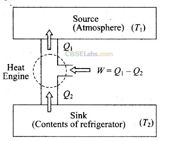 NCERT Exemplar Class 11 Physics Chapter 11 Thermodynamics Img 20