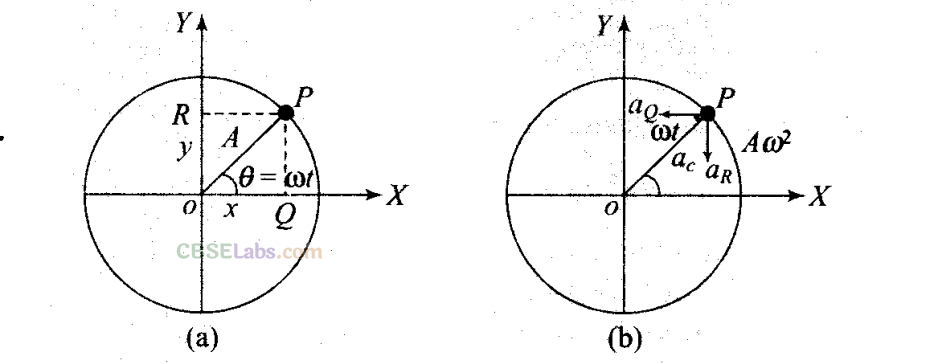 NCERT Exemplar Class 11 Physics Chapter 13 Oscillations Img 15