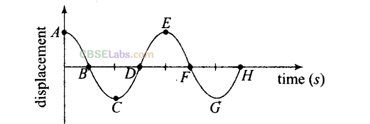 NCERT Exemplar Class 11 Physics Chapter 13 Oscillations Img 34