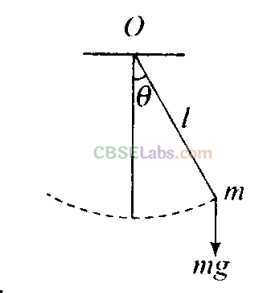 NCERT Exemplar Class 11 Physics Chapter 13 Oscillations Img 37