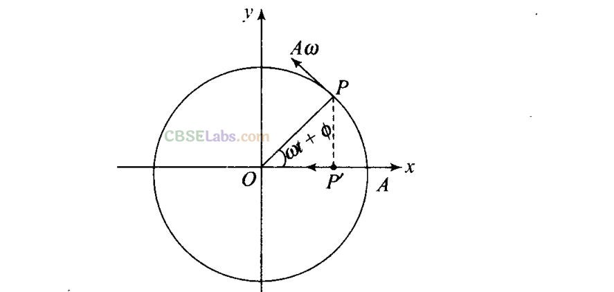 NCERT Exemplar Class 11 Physics Chapter 13 Oscillations Img 41