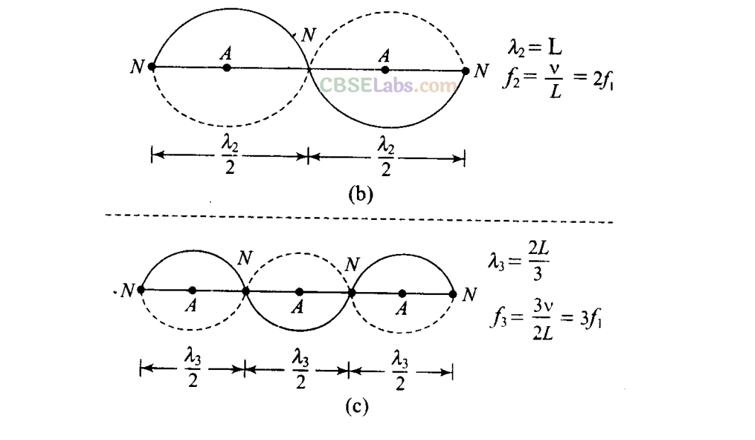 NCERT Exemplar Class 11 Physics Chapter 14 Waves Img 47