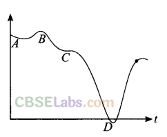 NCERT Exemplar Class 11 Physics Chapter 2 Motion in a Straight Line Img 19