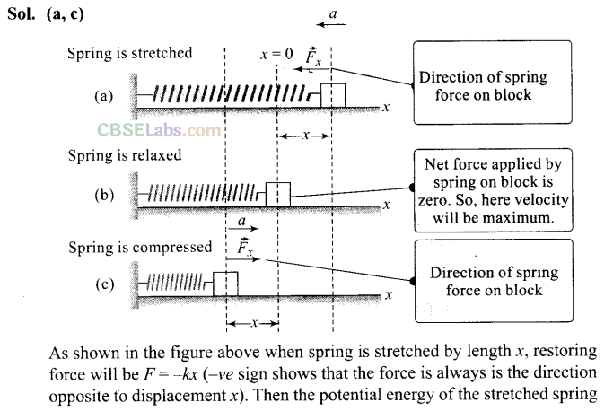 NCERT Exemplar Class 11 Physics Chapter 2 Motion in a Straight Line Img 22